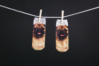 Pug Dog Socks